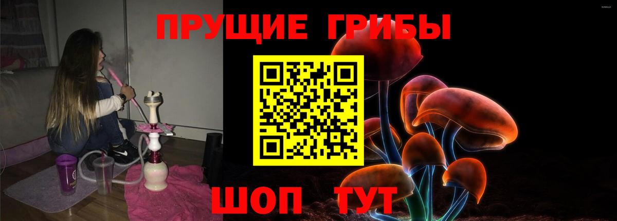Михайловка  Галлюциногенные грибы Psilocybine cubensis  Вход с VPN 