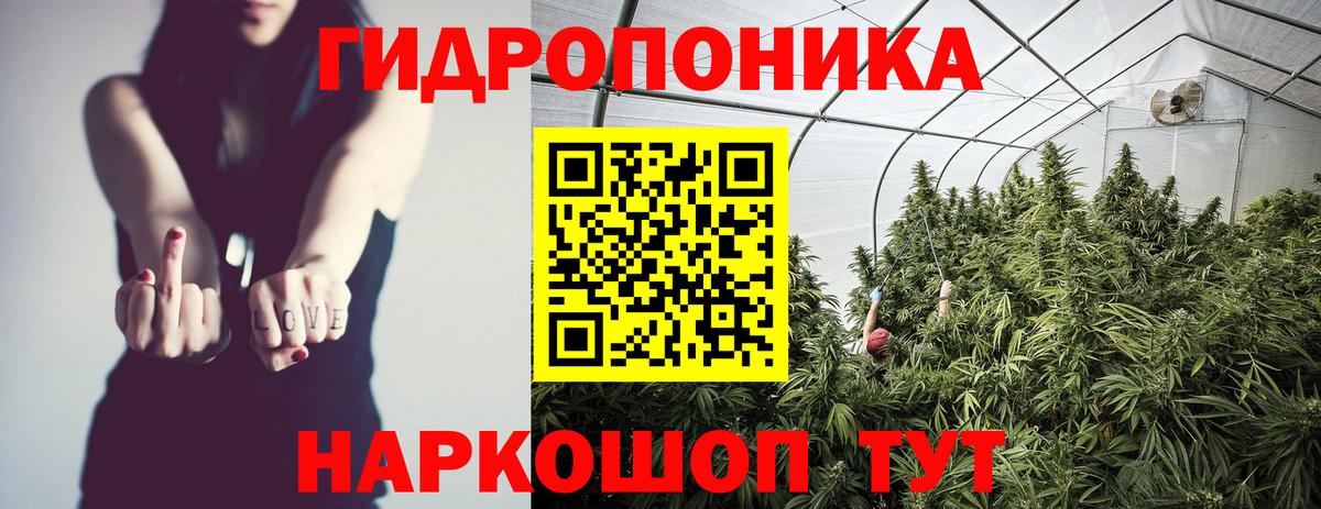 Михайловка  Марихуана Ganja  Канабис сатива  Вход с VPN  Шишки марихуана планчик  Шишки марихуана план 